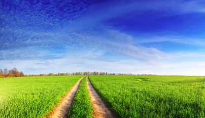 Spring panoramic landscape. Bright sun shines on green grass on