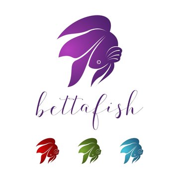 Betta Fish Design Logo Vector Illustration