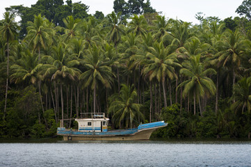 Naklejka na ściany i meble River Boat on the Island of Seram, Raja Ampat, Indonesia. Palm trees line this river were Sago is harvested and exported to other areas of Indonesia.