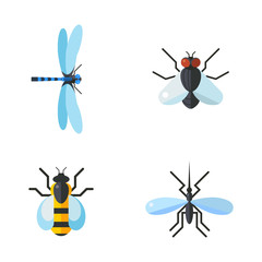 Insect icon flat set isolated on white background