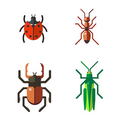 Insect icon flat set isolated on white background
