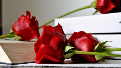 Rose rosse - Libri