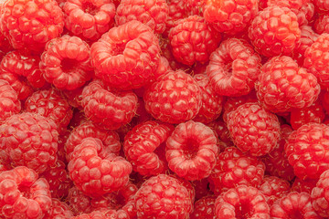 Raspberries wallpaper