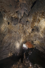 Waigeo Island Bat Cave. A huge bat cave with both small and large fruit bats and a large amount of bat guano on the cave floor. Bats hanging on the walls. Raja Ampat, West Papua, Indonesia.