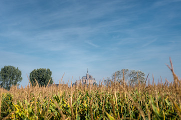 Cornfield in Normandie with a Mont-Saint-Michel on background, France