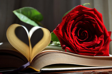 Romanzo d'amore