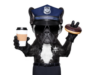 POLICE DOG ON DUTY WITH stop sign and hand , isolated on white blank background, having a meal...