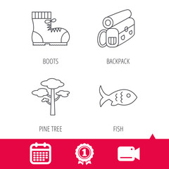 Achievement and video cam signs. Pine tree, fish and hiking boots icons. Bonfire linear sign. Calendar icon. Vector