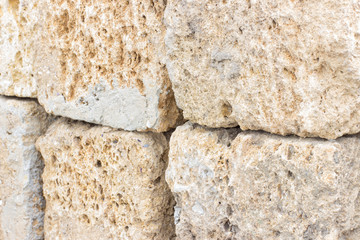 texture Rakushnjak or coquina