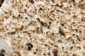 texture Rakushnjak or coquina
