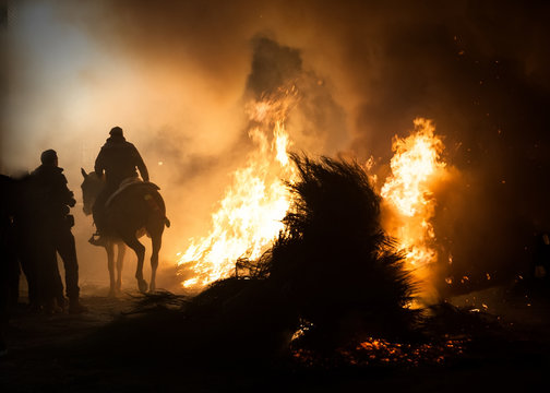 Horses jumping above the fire without fear