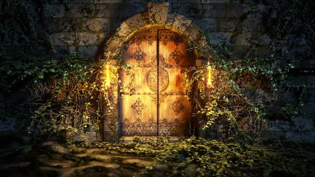 Dungeons overgrown with ivy. The entrance to the old underground . Old forgotten door. Moonlit night. Incendiary torches. 