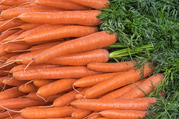 Carrots