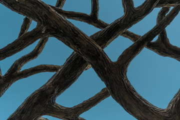 Tangle of Fake Branches on Blue Sky