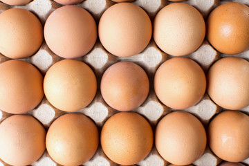 Raw chicken eggs in cardboard box
