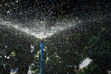 Find water spray from garden sprinkler.