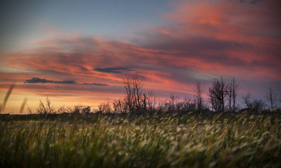 Beautiful Prairie Views
