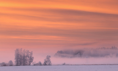 Pink fog in winter morning