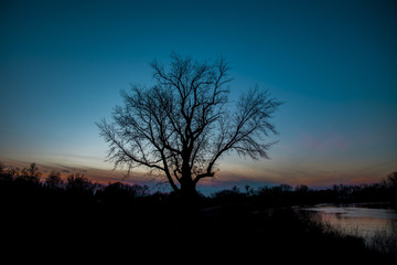 Serene Nature Images