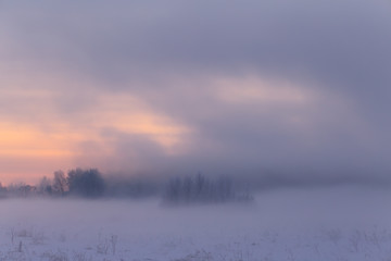 Foggy winter landscape