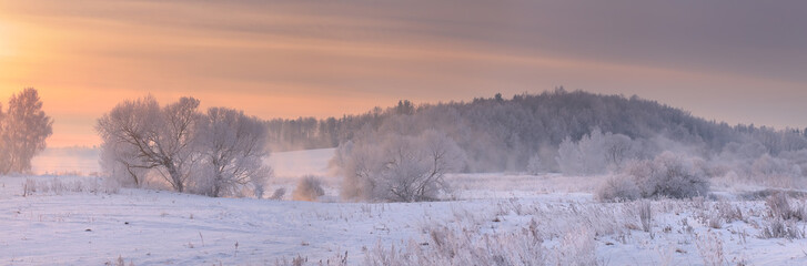 Obraz na płótnie Canvas Trees with white hoarfrost on snow in frosty morning