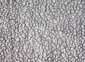 Grey carpet texture