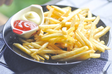 French fries dish or fried potato