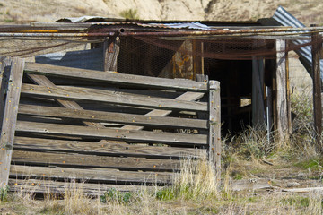 Abandoned Shack 