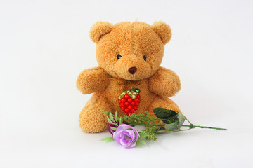 Bear brown and purple roses on a white background.