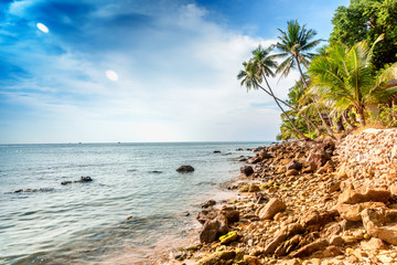 Fototapeta na wymiar Beautiful tropical landscape, blue water, green palms. Thailand