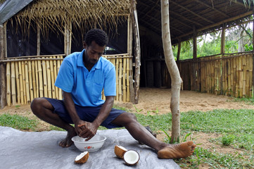 Indigenous Fijian man husking a coconut fruit in Fiji © Rafael Ben-Ari