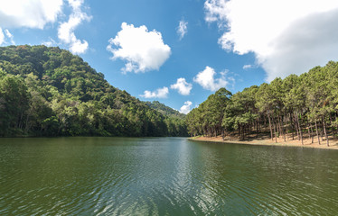 Pang Ung forestry plantations, Mae hong son province, Thailand.