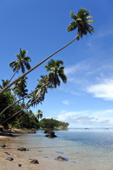 Landscape of a tropical beach in Savusavu peninsula in Vanua Lev