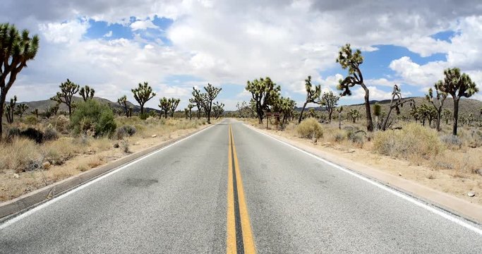 Freedom of The Open Road: American Highway through Joshua Tree National Park, California Desert