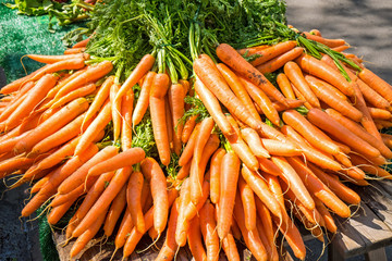 A bunch of carrots for sale at a market