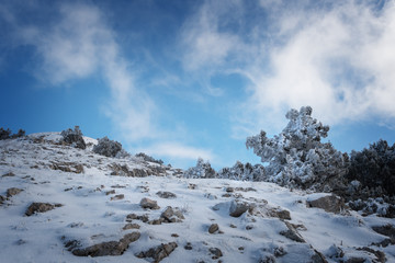 Snow-covered trees on the hillside against a blue sky with cloud