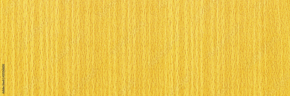 Poster horizontal design of plywood for pattern and background