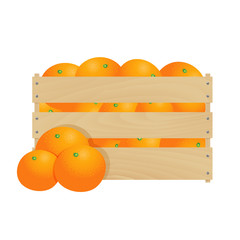 Fresh tangerines in a wooden crate isolated on a white background