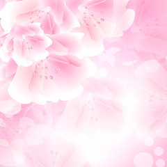 декоративный узор розовые цветы фон