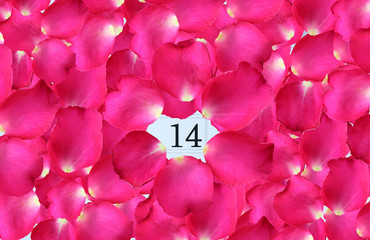 Calendar page fully with pink petals roses on February 14 of Saint Valentine's day.