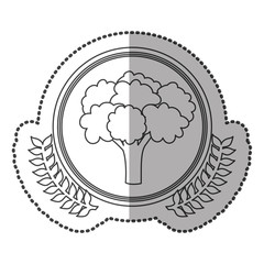 middle shadow sticker monochrome with olive crown with broccoli in circle vector illustration