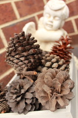 pine cones and decorations