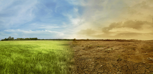 Landscape of meadow field with the changing environment - obrazy, fototapety, plakaty
