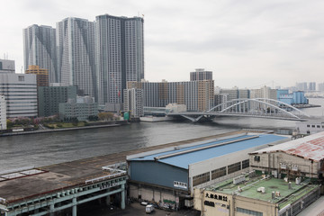 Fototapeta premium In the picture we can see a beautiful modern bridge over a river in the middle of a city in Japan. 