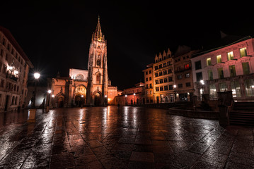 Fototapeta na wymiar The Oviedo Cathedral