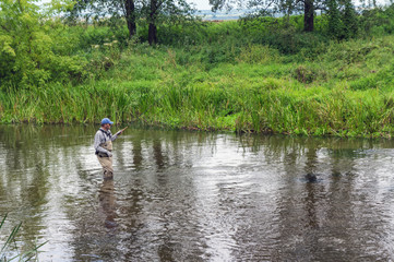Fototapeta na wymiar Fisherman catches tenkara on a beautiful forest creek.
