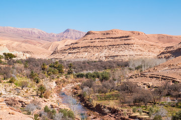 oasis among the hills in Morocco