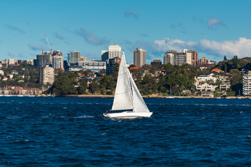 Boat with white sail, yacht on Sydney Harbour