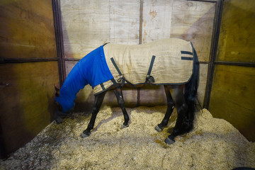 Horse covered with a blue blanket in a stable