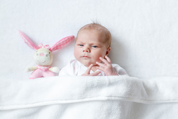 Cute baby girl playing with plush animal toy
